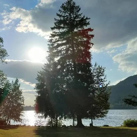 360 L Essenti Aile, La Mauselaine Gérardmer